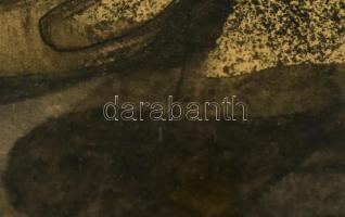 Szász Endre (1926-2003): Női portré. Vegyes technika, papír, jelezve középen lent (halványan). Üvege...