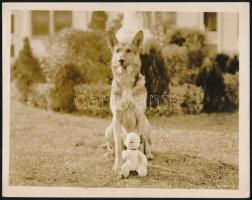 cca 1930-1940 5 db amerikai filmfotó, feliratozottak (Warner Bros, Paramount Pictures, stb.), 16x15 ...