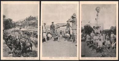 cca 1914-1918 15 db I. világháborús olasz katonai fotó (nagyrészt Líbiából), 16x10,5 cm