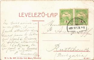 1909 Temesvár, Timisoara; Hunyady út, villamos. W.L. Bp. 2007. Gerő Manó kiadása / street, tram (EK)