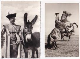 Hortobágy 4 db lovas lap