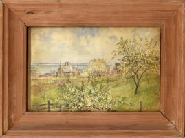 Széles Sándor (?-?): Tavaszi virágzás, 1900. Akvarell, papír, jelzett, üvegezett fa keretben, 26x36 cm