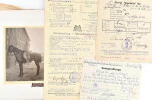 1912-1918 Vegyes katonai irat tétel (tábori postai levelezőlap, honvéd igazolványi lap, lovas fotó, ...