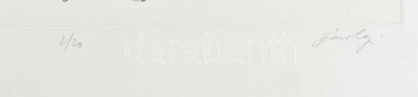 Károlyi András (1938-): Metamorfózisok. Rézkarc, papír, jelzett, számozott (2/20), 26,5×39 cm