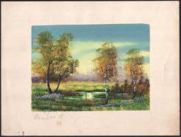 5 db vegyes grafika, malacka, boci, fekete macska, , huszár, tájkép. max méret: 25x33cm