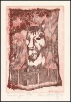 Zalakovács József ( 1954. - ): Szomorú paci 1982. Jelzett. Rézkarc, papír. 16x11cm