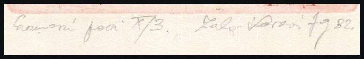 Zalakovács József ( 1954. - ): Szomorú paci 1982. Jelzett. Rézkarc, papír. 16x11cm