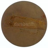 Lajos József (1936-) DN "A szocialista mezőgazdaságért" egyoldalas, öntött Br plakett (90m...