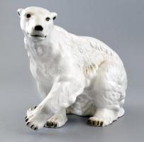 Royal Dux Jeges medve, kézzel festett porcelán, jelzett. Apró tűzrepedéssel az alján. m: 25cm