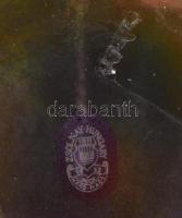 T. Surányi Anna (1947 - ): Lendület. Zsolnay eozinmázas porcelán, jelzett, hibátlan. m: 20 cm