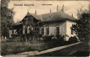 1910 Acsa (Abony), Autos kastély, Beliczey Tiborné úrilaka. Müller Mór kiadása (kis szakadás / small tear)