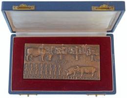 Búza Barna (1910-2010) 1949. "Herceghalmi Kísérleti Gazdaság" Br plakett, eredeti dísztokb...