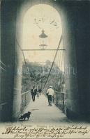 Passau Chain-bridge (EB)