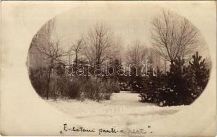 1913 Keszthely, Balatoni park télen. photo