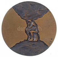 Csíkszentmihályi Róbert (1940-) 1973. "Eötvös Loránd-díj" Br emlékérem eredeti tokban (67m...