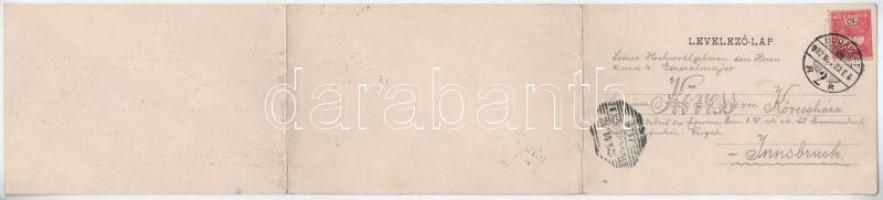 1902 Budapest I. Krisztinaváros, építkezés. Divald Károly 249. Három részes kinyitható panorámalap /...