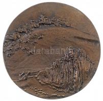 DN "Rákóczi Mezeje MGTSZ (Mezőgazdasági Termelőszövetkezet) - Romhány" kétoldalas, öntött ...