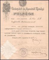 1917 Vázsonyi Vilmos (1868-1926) ügyvéd, miniszter saját kézzel aláírt kinevező okirata