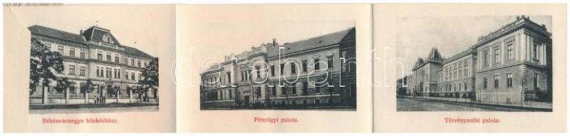 Gyula, Gróf Almássy Dénes kastélya. leporellolap 10 képpel