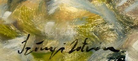 Szőnyi István jelzéssel: Dunakanyar. Olaj, farost. 68x83 cm, keret nélkül