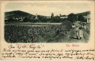 1900 Kismaros, Nógrádverőce (Verőce) mellett, gyerekek az úton