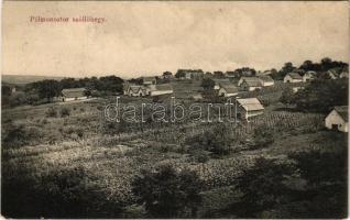 1910 Pélmonostor, Beli Manastir; szőlőhegy / vineyards + "BRÓD-NAGY-KANIZSA 26. SZ." vasúti mozgóposta