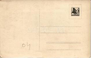 Nagyszőlős, Nagyszőllős, Vynohradiv (Vinohragyiv), Sevljus, Sevlus; városház / town hall. photo