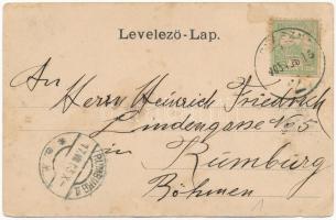 1905 Komandó, Comandau; gyár, fűrésztelep, iparvasút / sawmill, factory, industrial railway (szakadá...