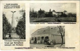 Fehéregyháza, Albesti, Weisskirch, Ferihaz; Petőfi síremléke, Haller kastély, Mühsam Frigyes üzlete / monument, castle, shop (fl)