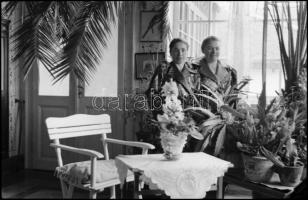 Egy kúria és a lakás belső részletei, 8 db fotónegatív, 6×9 cm