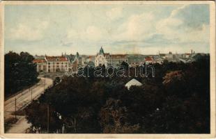 1914 Temesvár, Timisoara; Józsefváros teljes látképe nyugat felé. photobromüra No. 134. / Iosefin