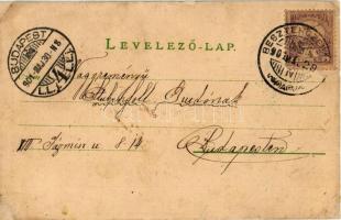 1901 Besztercebánya, Banská Bystrica; Garam részlet, Szent János (Szentjános) vasútállomás. Ivánszky...