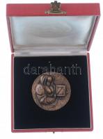 Asszonyi Tamás (1942-) DN "Zománcművészet Salgótarján" kétoldalas, öntött Br plakett erede...