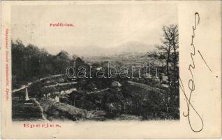 1902 Eperjes, Presov; Emlékkő az erdei laknál. Divald / monument at the forest house