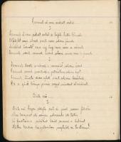1926 Katona jegyzetfüzete mindenféle irodalmi témájú jegyzetekkel versekkel olvasó naplóval, stb