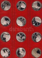 Modern színezüst dekoratív  érme tétel "L.da Vinci" nettó 1,44kg (36db) kompl. sorozat T:P...