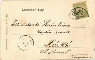 1905 Sopron. Montázs felhőn repülő hölggyel + "Éljen Berecz Ábel megválasztott képviselő" ...