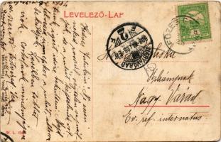 1908 Füzesgyarmat, Kossuth Lajos tér, Artézi kút, Beck József üzlete. W.L. 1549. (EK)