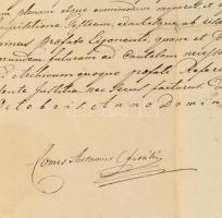 1828 Cziráky Antal (1772-1852) országbíró által kiadott latin nyelvű okirat Szirmay Adámnak. Cziráky...