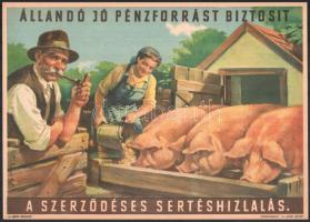 cca 1960 Villamosplakát: Állandó jó pénzforrást biztosít a szerződéses sertéshizlalás, Gr.: Pál György, 33,5x24 cm
