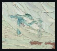 TM jelzéssel: Portré. Olaj, karton. 34x25 cm