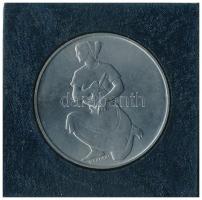 1981. 100Ft Ni "FAO I. - Világélelmezési nap" fekete műbőr tokban, tanúsítvánnyal T:PP Ada...