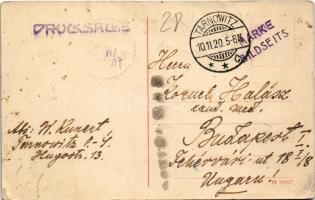 1920 Tarnowskie Gory, Tarnowitz; street, shops of Paul Marcinek, Joseph Gursky and Emil Pyttlik, Apo...