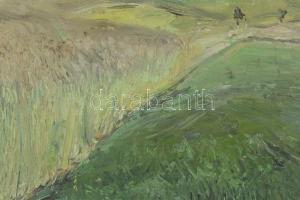 Négely R.jelzéssel: Tájkép. Olaj, vászon, keretben, 46x65cm