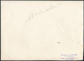 cca 1930-1940 Róma, nunciusok csoportképe, hátoldalán pecséttel jelzett fotó, Fotografia Pontificia ...