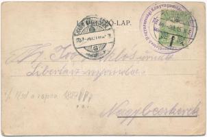 1907 Temesár, Timisoara; Könyvnyomda belseje. A rajz 1887-es elképzelhető hogy az első legrégebbi is...