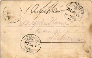 1905 Kolozsvár, Cluj; Mátyás király tér, Schuster Emil üzlete, drogéria, Kónya Sándor, Hanitz Sándor...