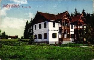 Felsőzúgó-fürdő, Ruzsbachfürdő, Bad Ober Rauschenbach, Kúpele Vysné Ruzbachy; Terezia villa / villa