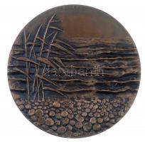 Finnország 1978. "Eino Leino" Br emlékérem hiányos tokban. Szign.: M. Koskela (70mm) T:1-
...