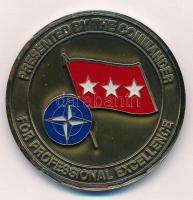 Amerikai Egyesült Államok ~2000. NATO / SFOR műgyantás Br katonai emlékérem a boszniai békefenntartó haderőről (50mm) T:1- USA ~2000. NATO / SFOR Br military medallion of the peacekeeping force in Bosnia (50mm) C:AU